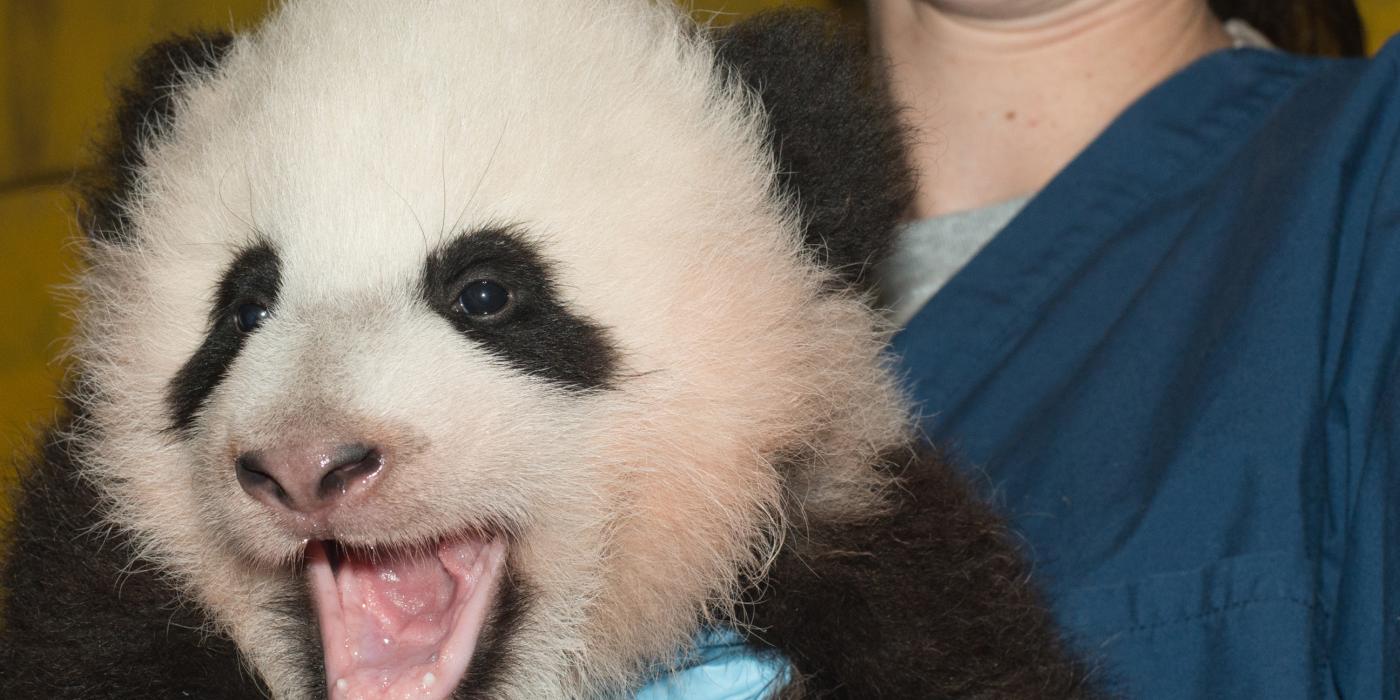 Keeper Jenny Spotten and Bao Bao.