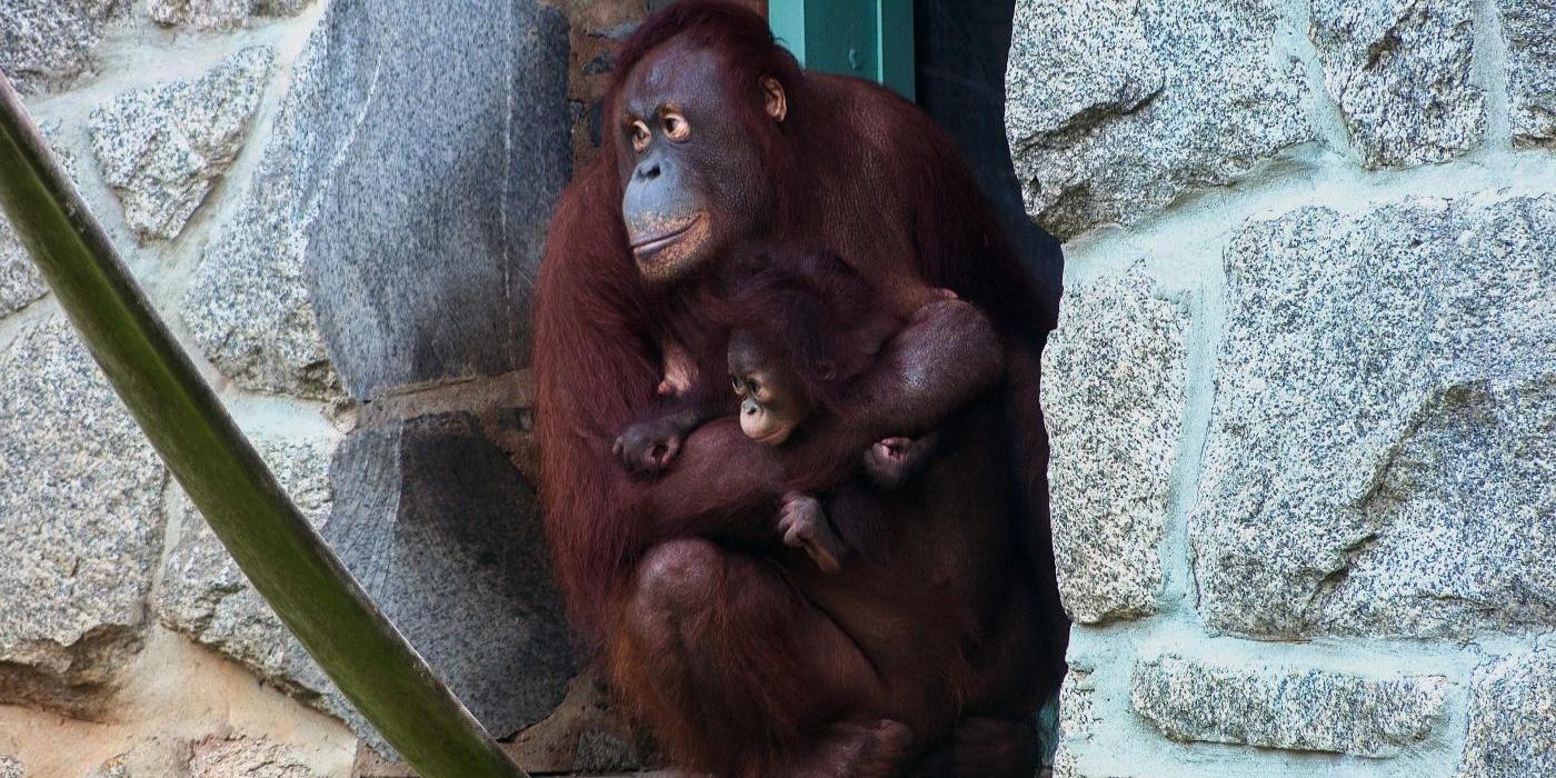 Batang holding Redd at Think Tank. 