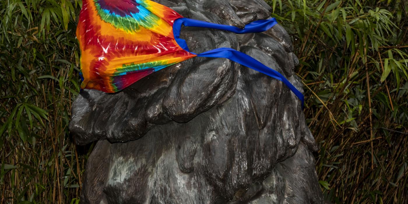 Lion statue at Zoo's entrance with face covering.