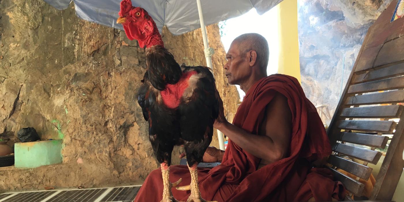 Buddhist Monk