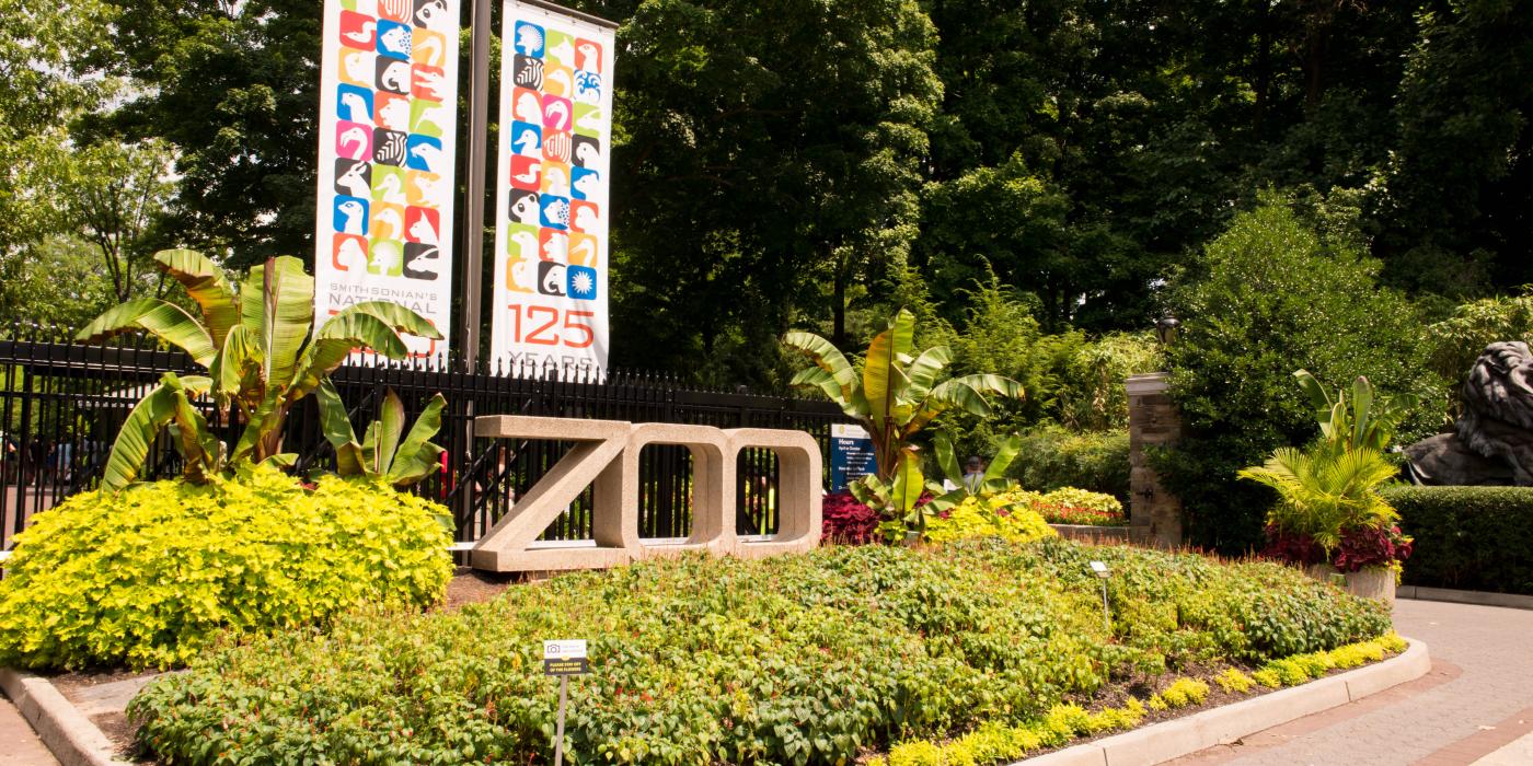 Zoo entrance with icon banners. 