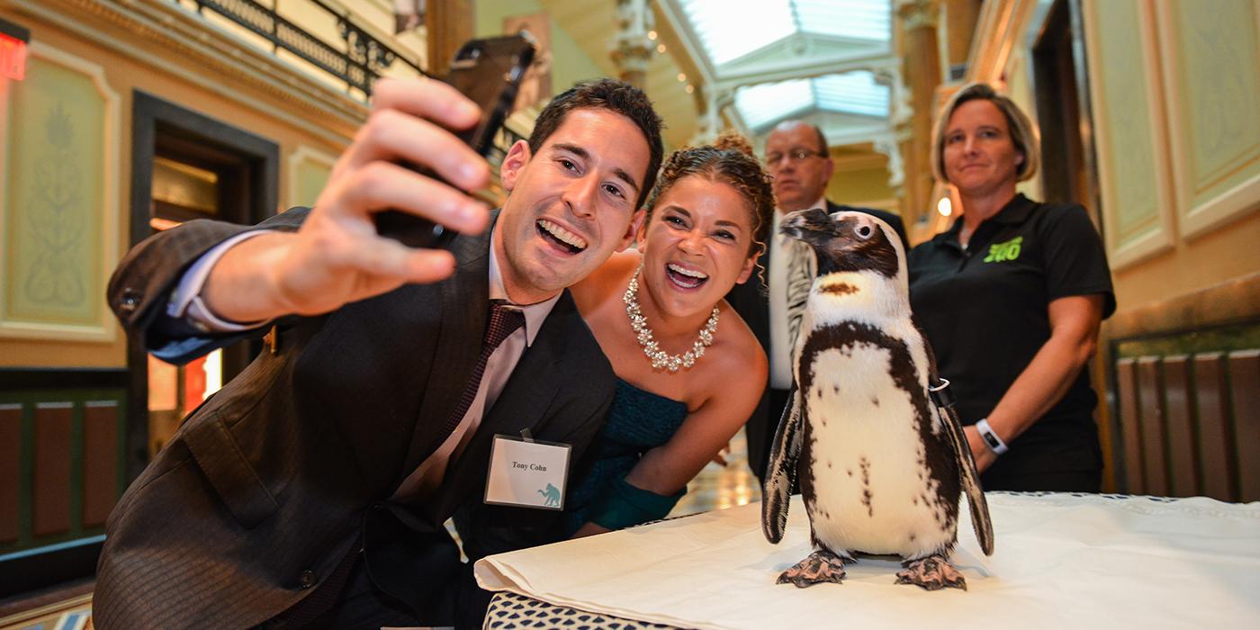 A couple takes a selfie with a penguin at the Smithsonian's National Zoo's Monkey Business Gala