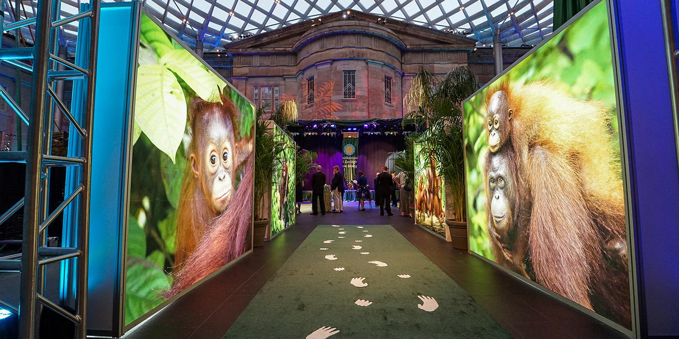 A walkway with animal prints and large photographs at the Smithsonian's National Zoo's Monkey Business Gala