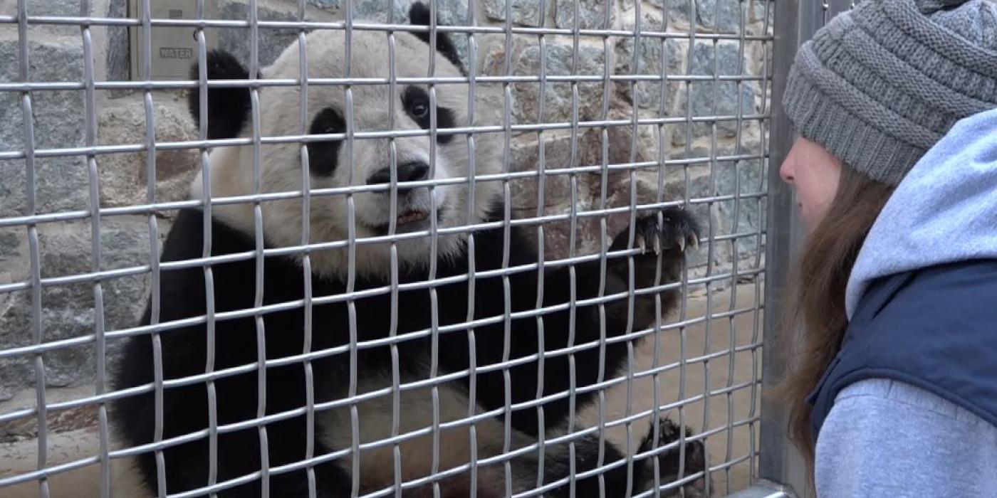 Keeper Shellie Pick and Bao Bao.