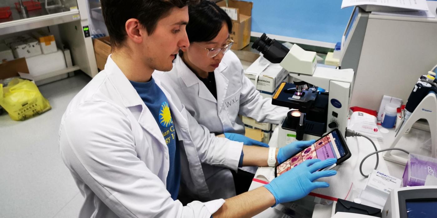 Veterinarians looking at slides of panda blood at the Chengdu Research Base of Giant Panda Breeding. 