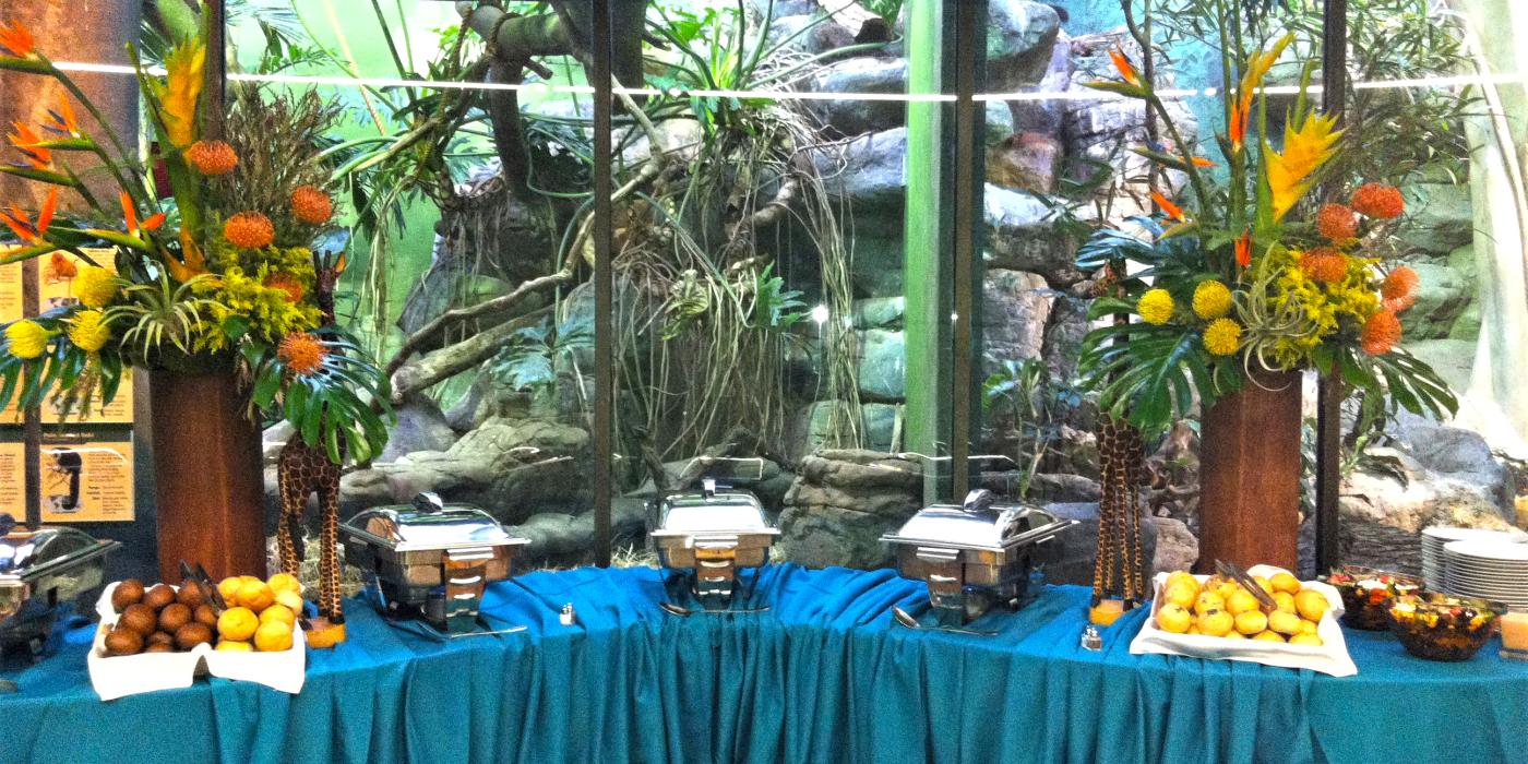 A food table decorated with table cloths and flowers set up in front of an exhibit in the Small Mammal House at the Smithsonian's National Zoo